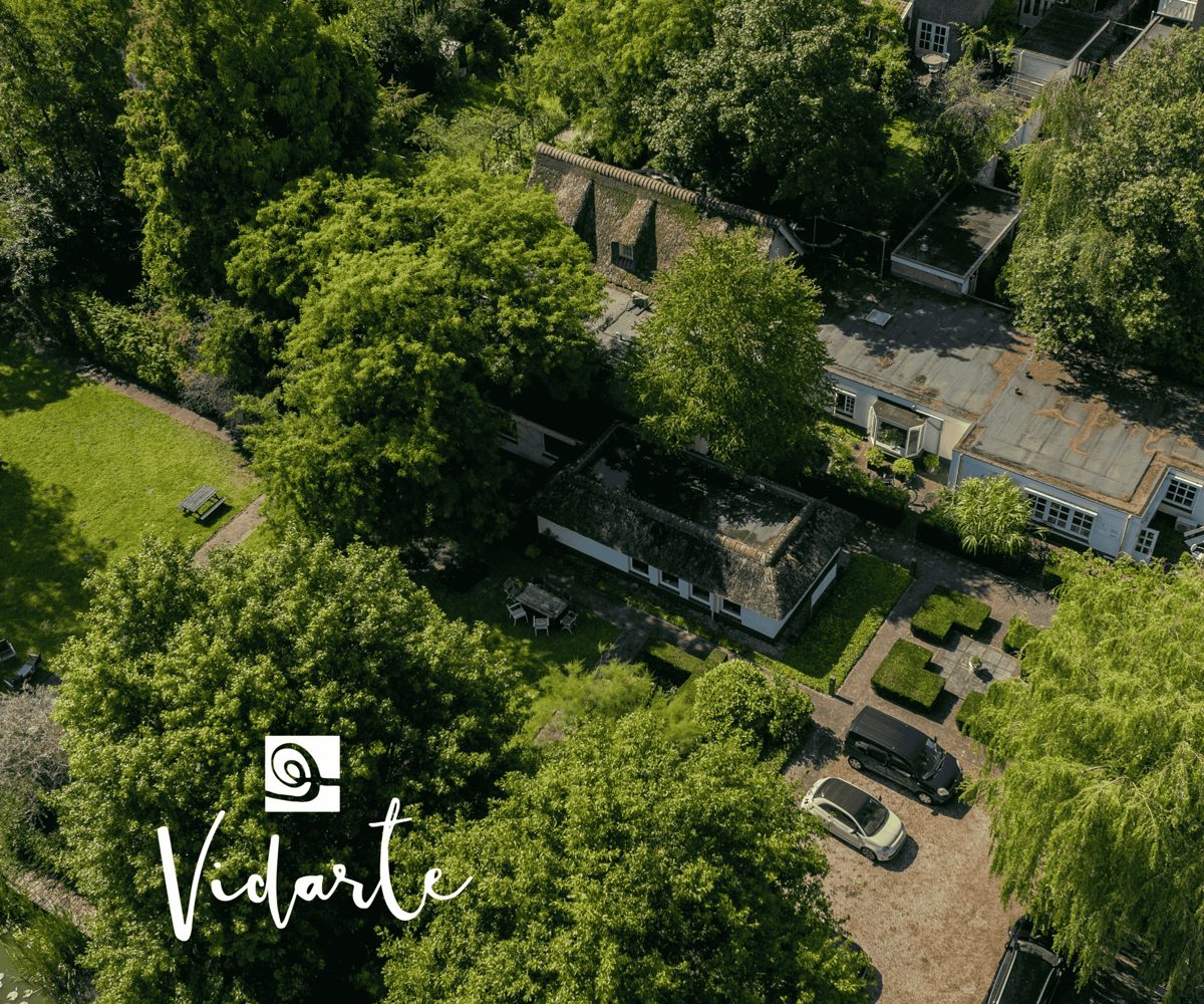 Villa Vidarte vanuit de lucht, verscholen in het groen